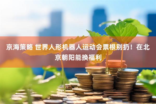 京海策略 世界人形机器人运动会票根别扔！在北京朝阳能换福利